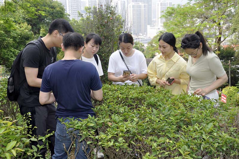 ‌2025年7月茶艺师培训班报名与考试